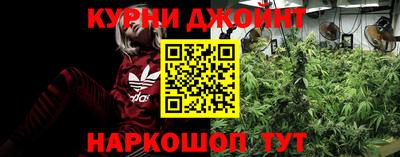 jwh Новозыбков