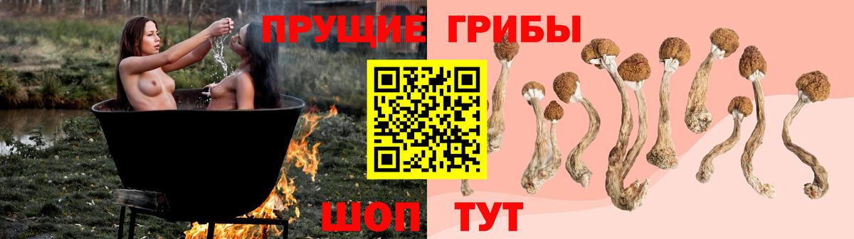 Псилоцибиновые грибы ЛСД Чистополь